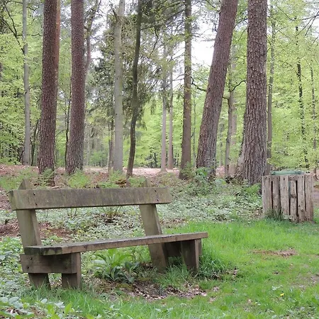 Atmospheric Wellness Bungalow With A Garden In Natural Area בקתה *